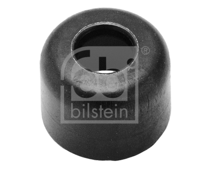 FEBI KIRISTEPALA PAKOSARJAN PULTILLE MB FE-08507