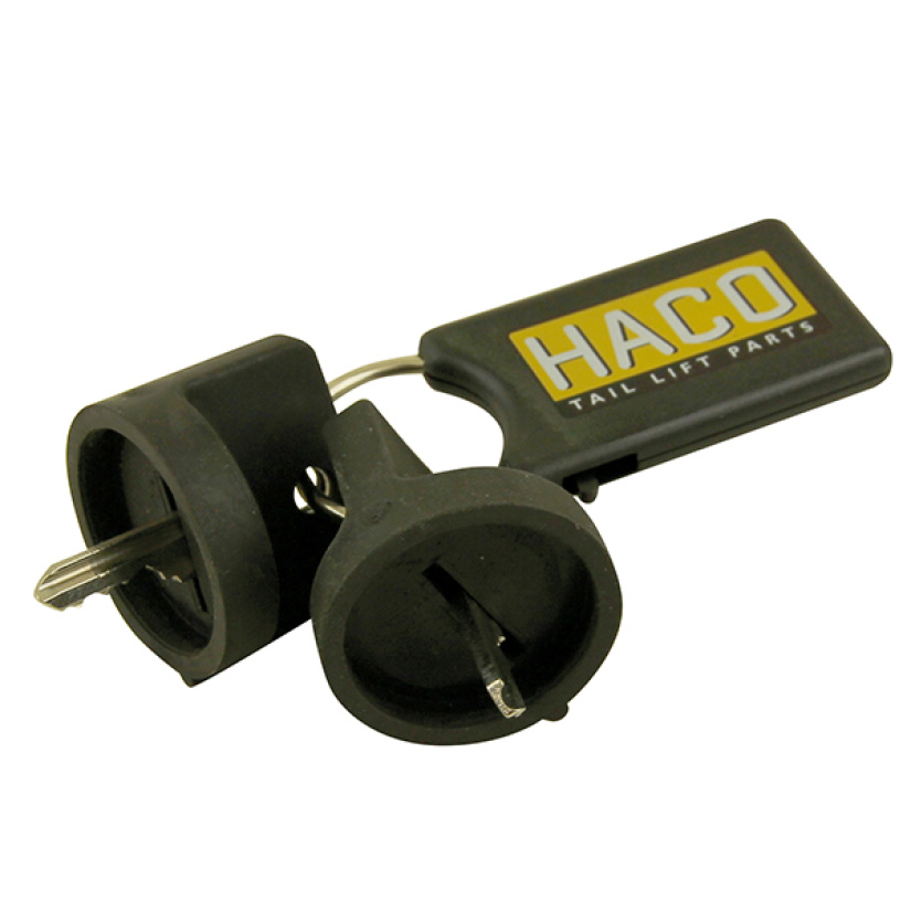 HACO AVAINSARJA 2X PÄÄVIRTAKATKAISIJALLE, DHOLLANDIA 4552814H
